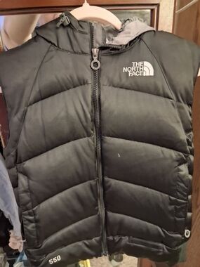 The North Face Black Hooded Puffer Vest